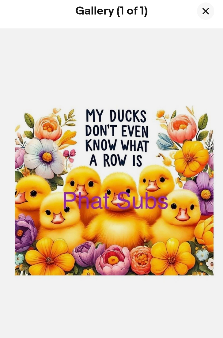 Sample humorous ducks-in-a-row style design idea for sublimation